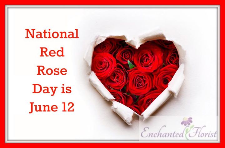 Celebrate in June: National Rose Month and Red Rose Day - Enchanted ...